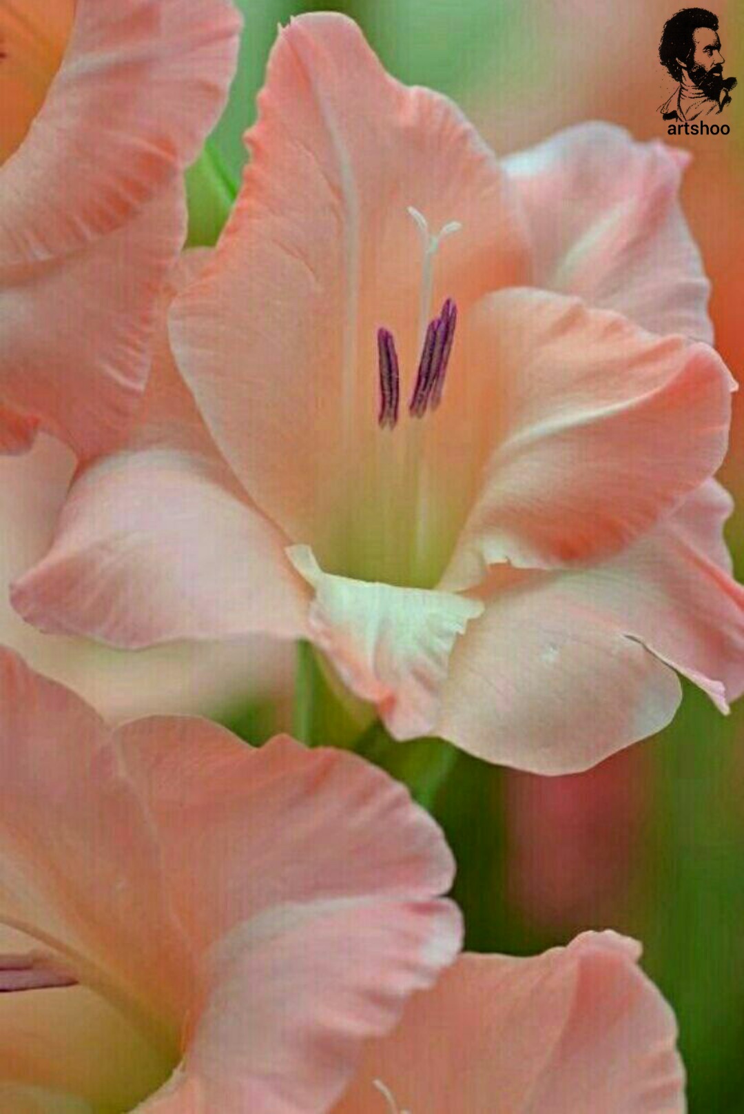 گل اورژینال رنگ روغن